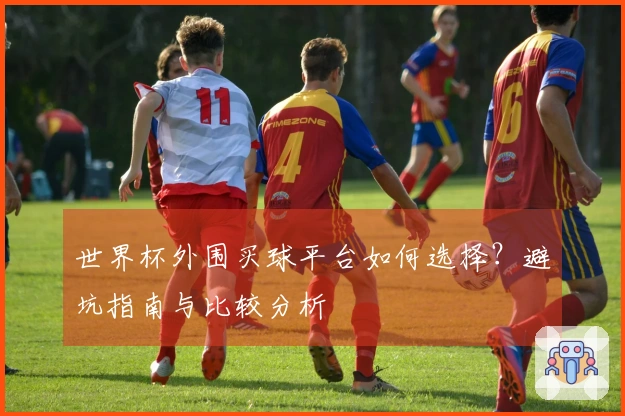 世界杯外围买球平台如何选择？避坑指南与比较分析