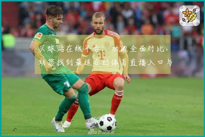 买球站在线平台：功能全面对比，助您找到最适合的体育直播入口与使用体验
